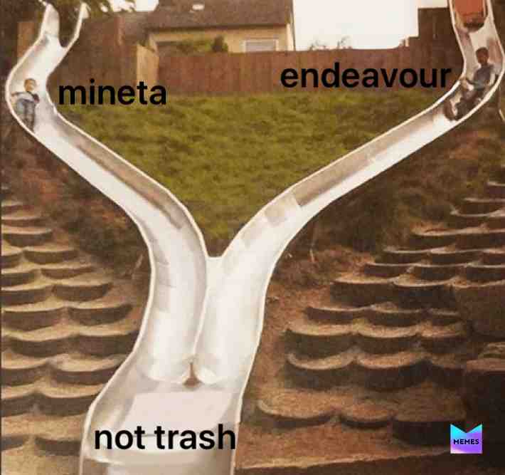 This is only my opinion. If you watched the latest episodes or read the manga you’d understand my point on endeavour. And mineta...well i don’t have a good reason but I don’t hate him