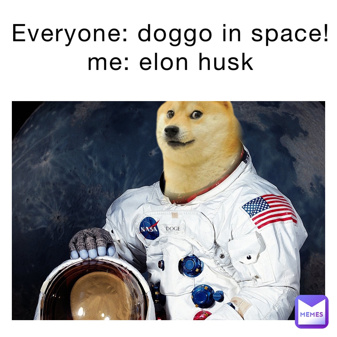 Everyone: Doggo in Space!
Me: Elon Husk