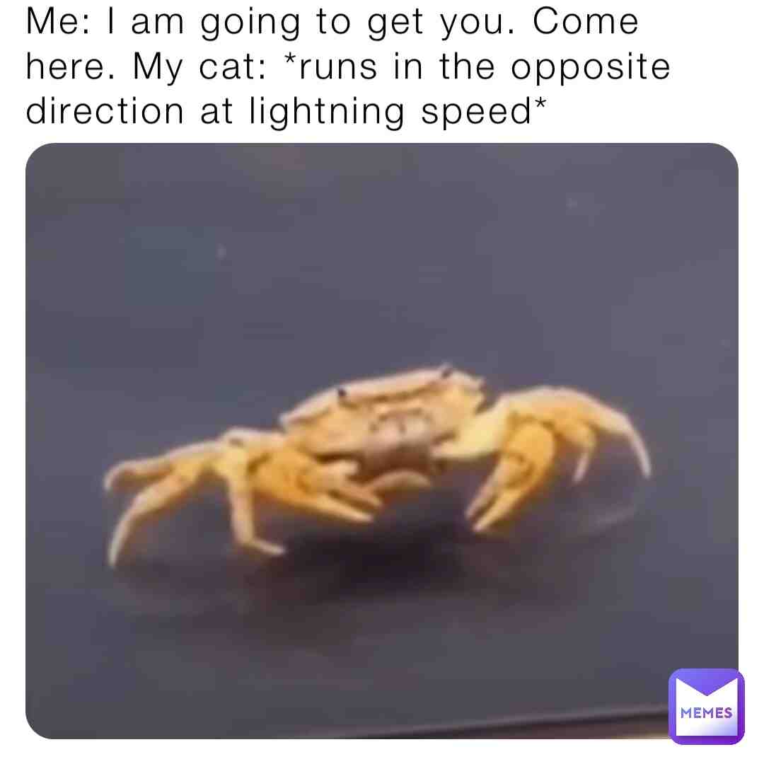 Meme shared by @robcolclough776