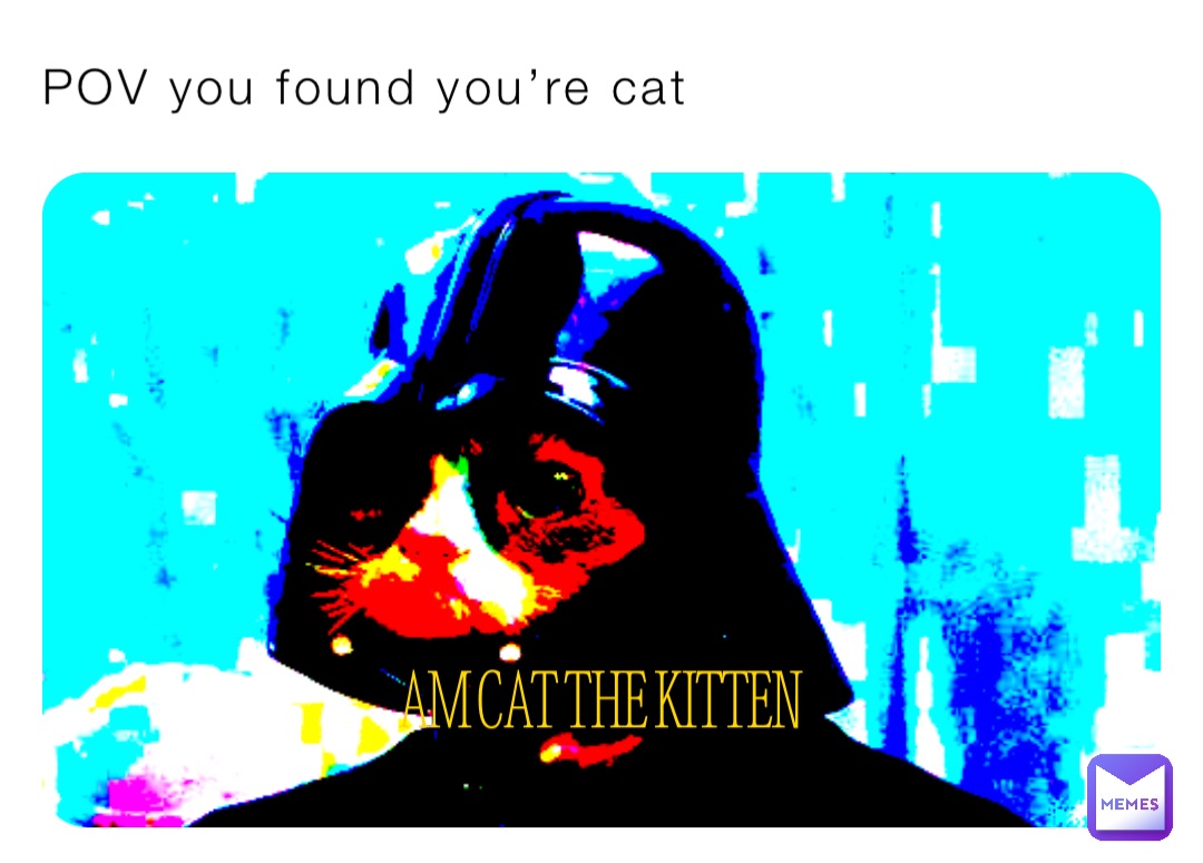 POV you found you’re cat AM CAT THE KITTEN