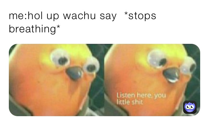 Meme by Funnybirdy