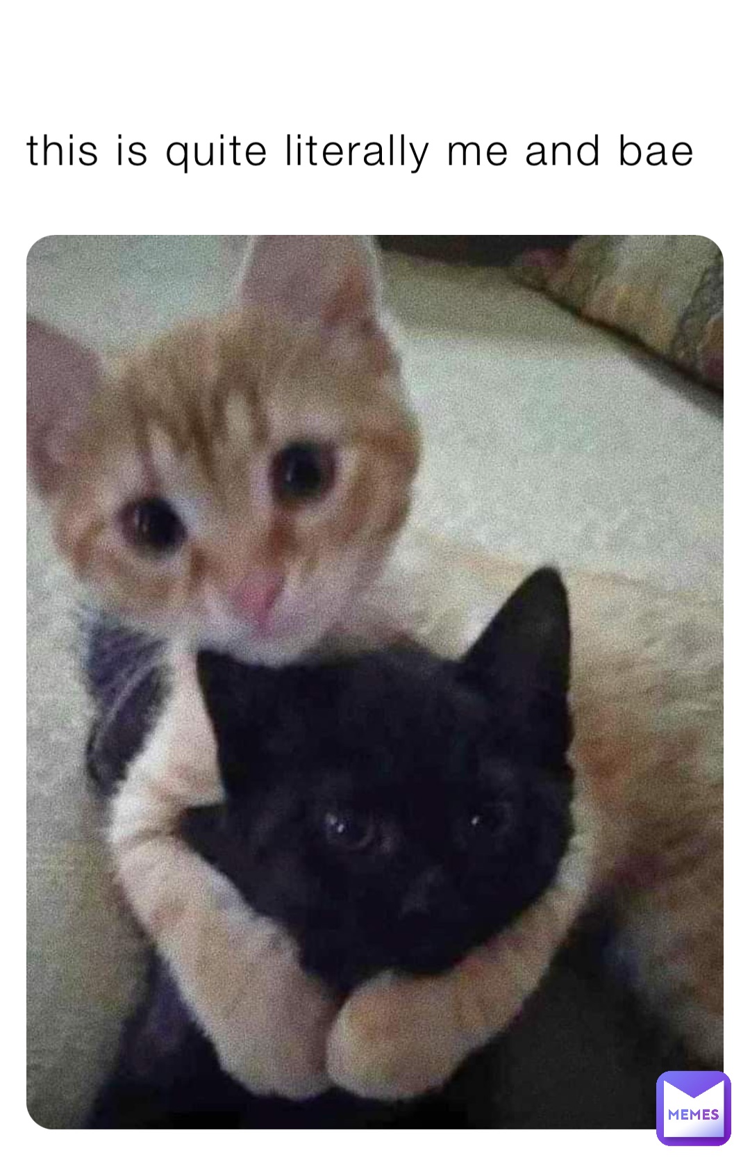 this is quite literally me and bae