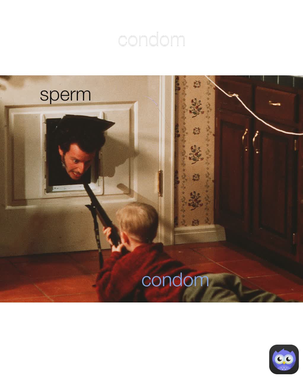 sperm condom condom sperm  condom condom