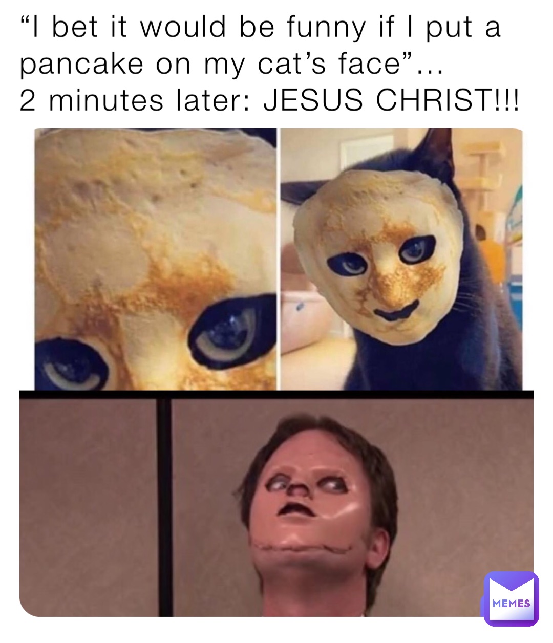 I bet it would be funny if I put a pancake on my cat's face”… 2 minutes  later: JESUS CHRIST!!! | @Kaiser_Memehelm | Memes