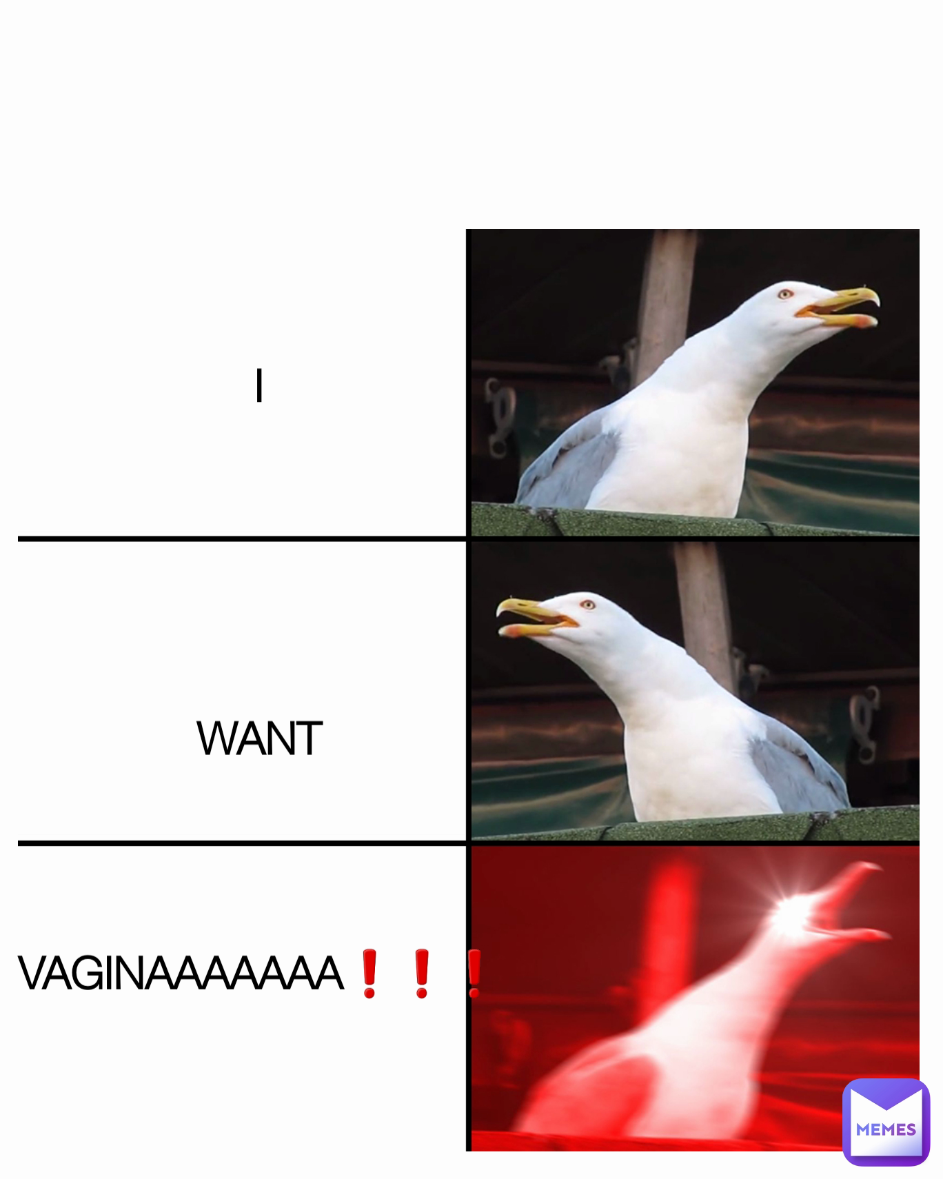 I





WANT



VAGINAAAAAAA❗❗❗