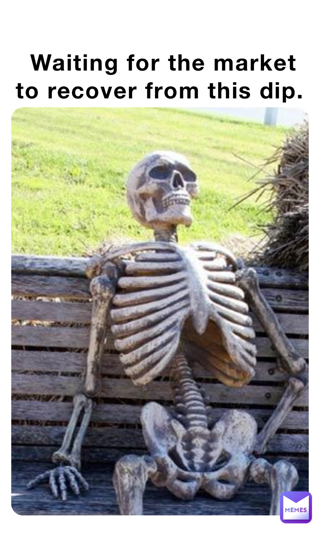 Waiting for the market to recover from this dip. | @spartigoose366 | Memes