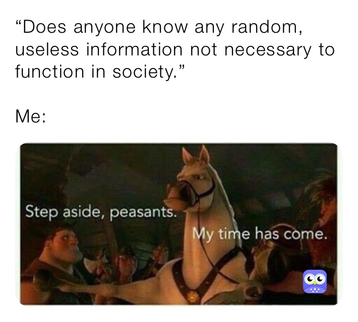 “Does anyone know any random, useless information not necessary to function in society.”

Me: