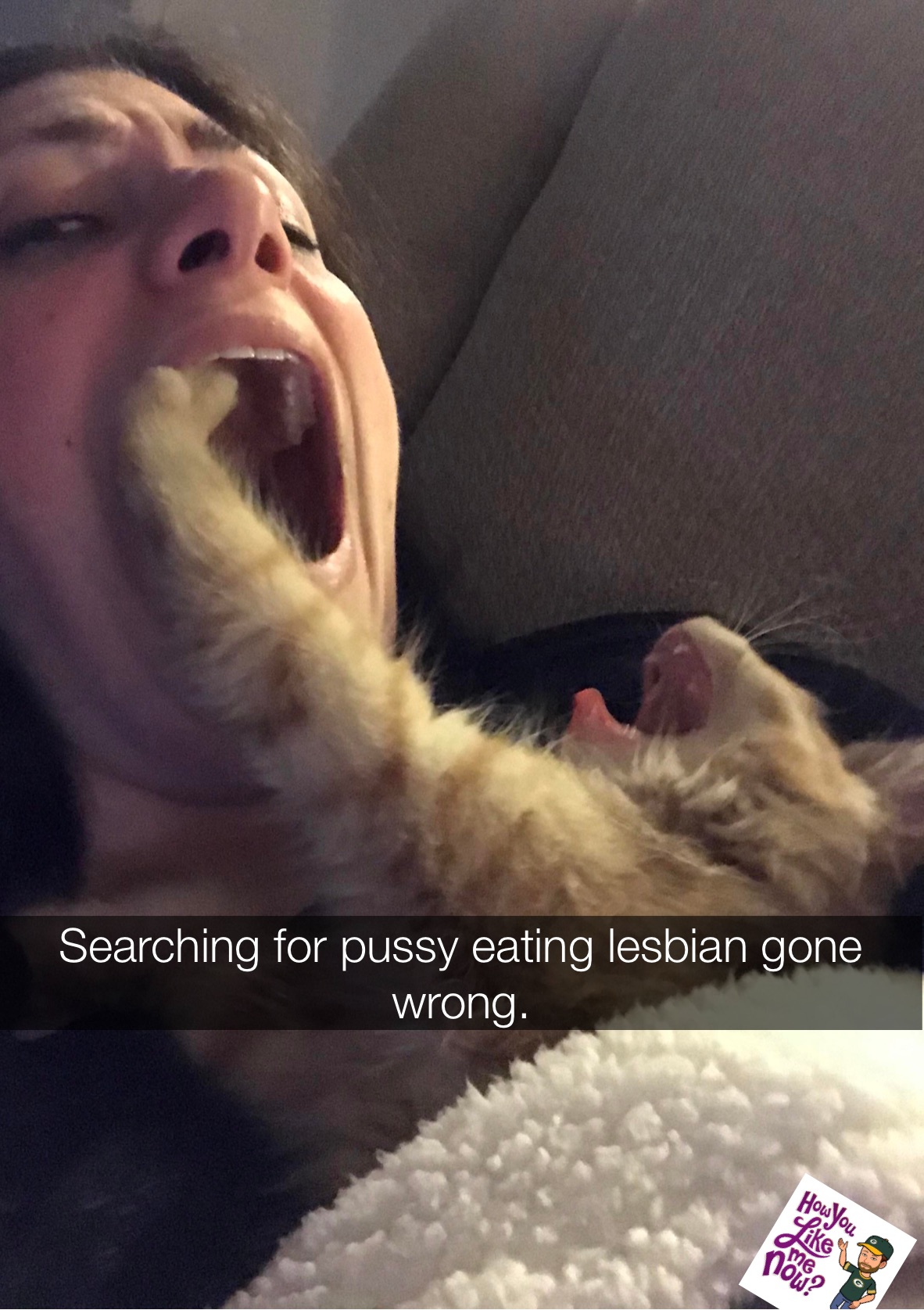 Best Eating Pussy Memes (35 Pictures)