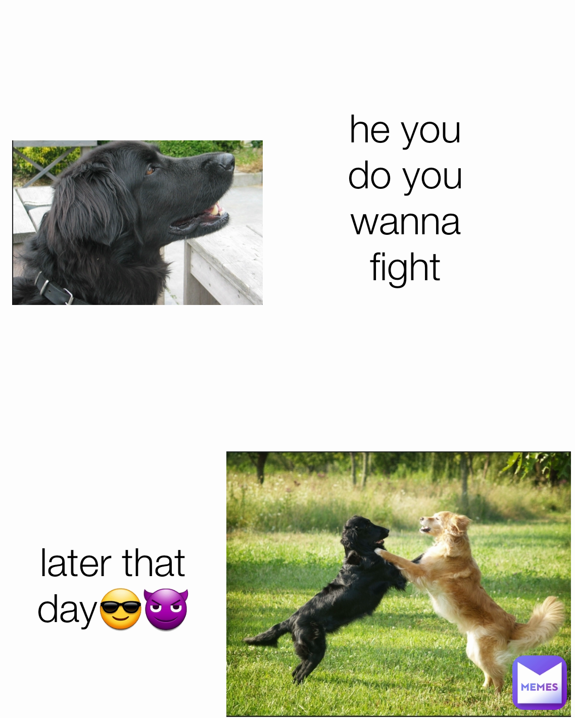 he you do you wanna fight
 later that day😎😈