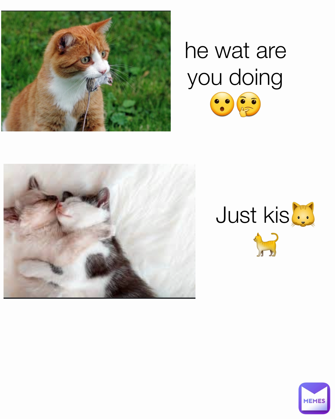 Just kis🐱🐈
 he wat are you doing 😮🤔 Type Text