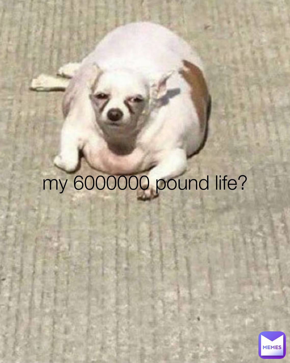 my 6000000 pound life?