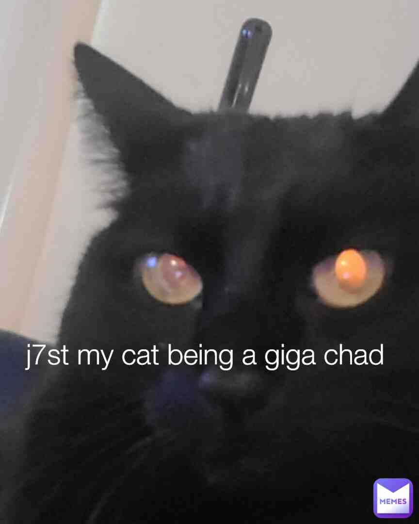 Meme preview