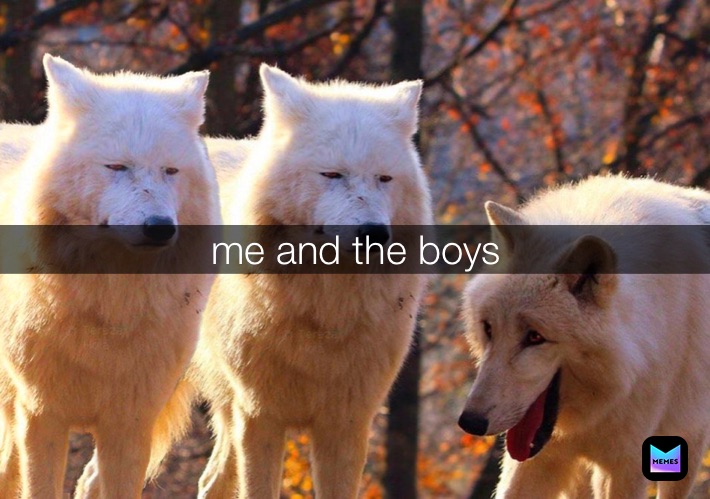 Meme by yaaaaaaaaa