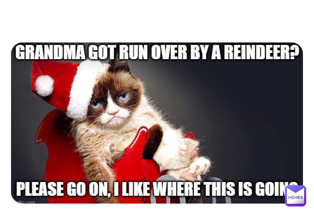 grumpy cat meme dashing through the no