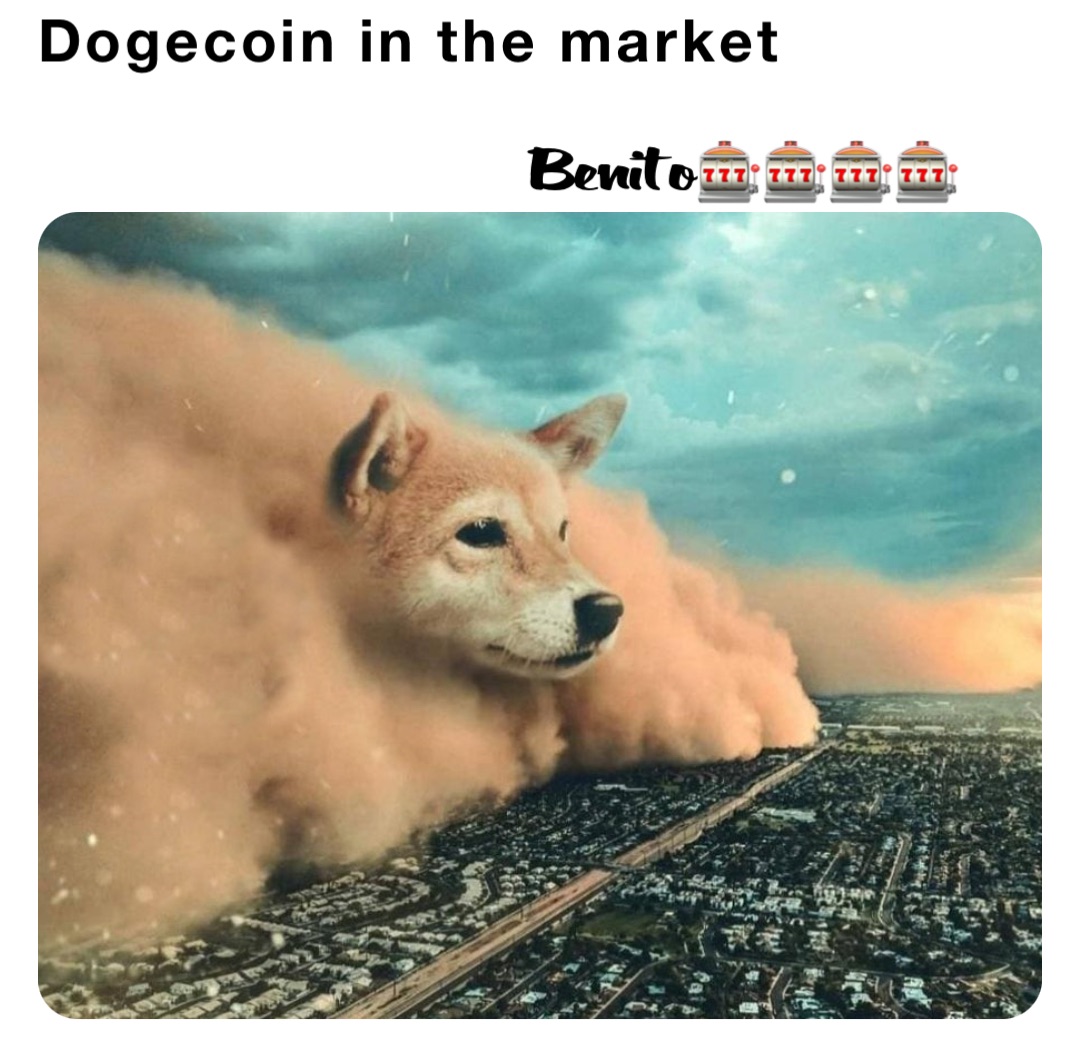 Dogecoin in the market Benito🎰🎰🎰🎰