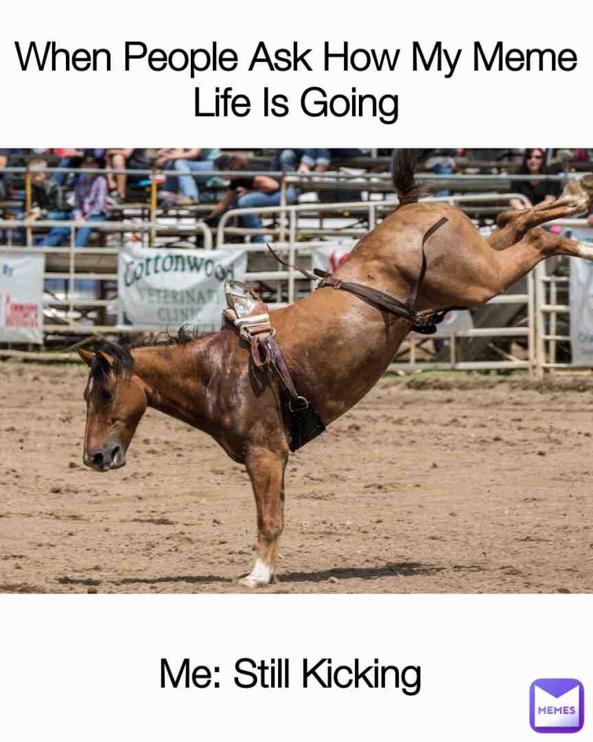 Meme Life 101
