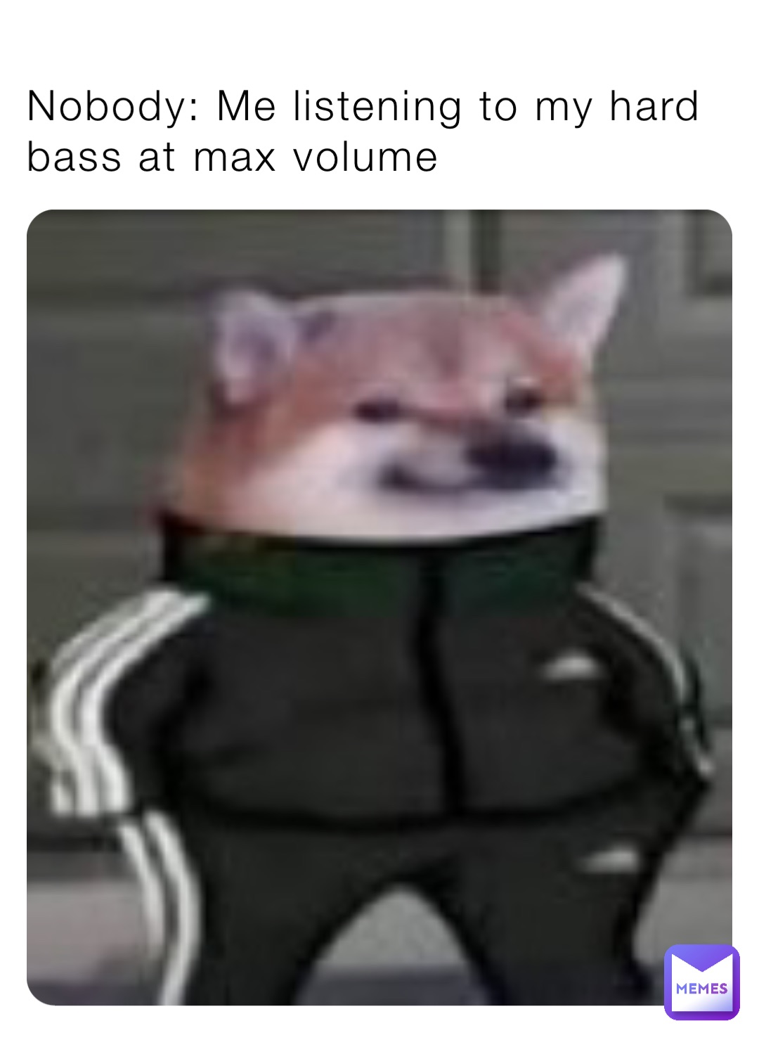 Nobody: Me listening to my hard bass at max volume