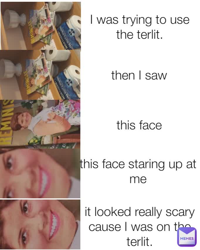 I was trying to use the terlit. then I saw this face  this face staring up at me it looked really scary cause I was on the terlit.