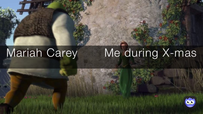 Mariah Carey       Me during X-mas 