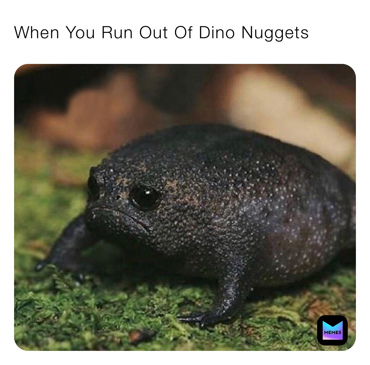 When You Run Out Of Dino Nuggets