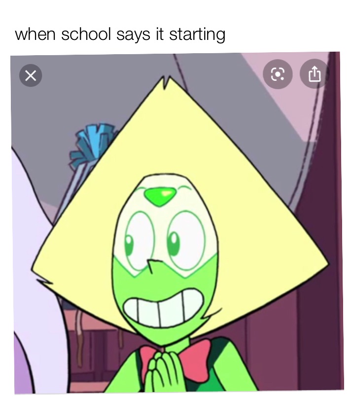 Meme by spinel_thebest