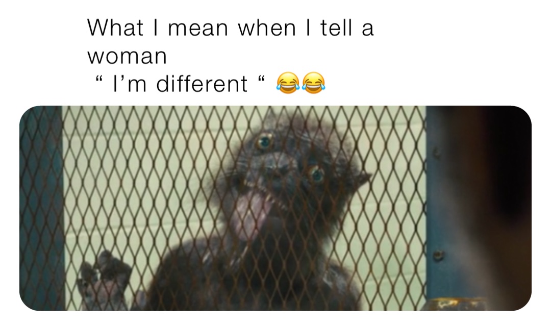 What I mean when I tell a woman
 “ I’m different “ 😂😂