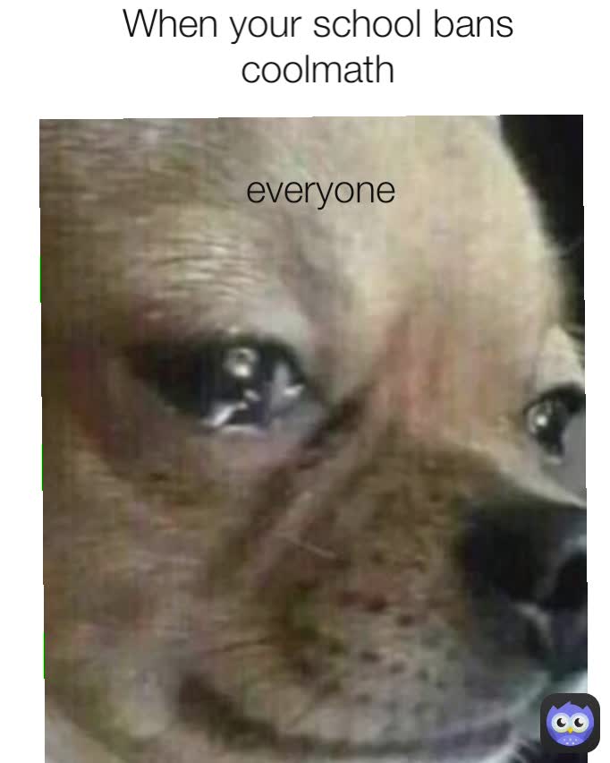 everyone When your school bans coolmath | @superspeed | Memes