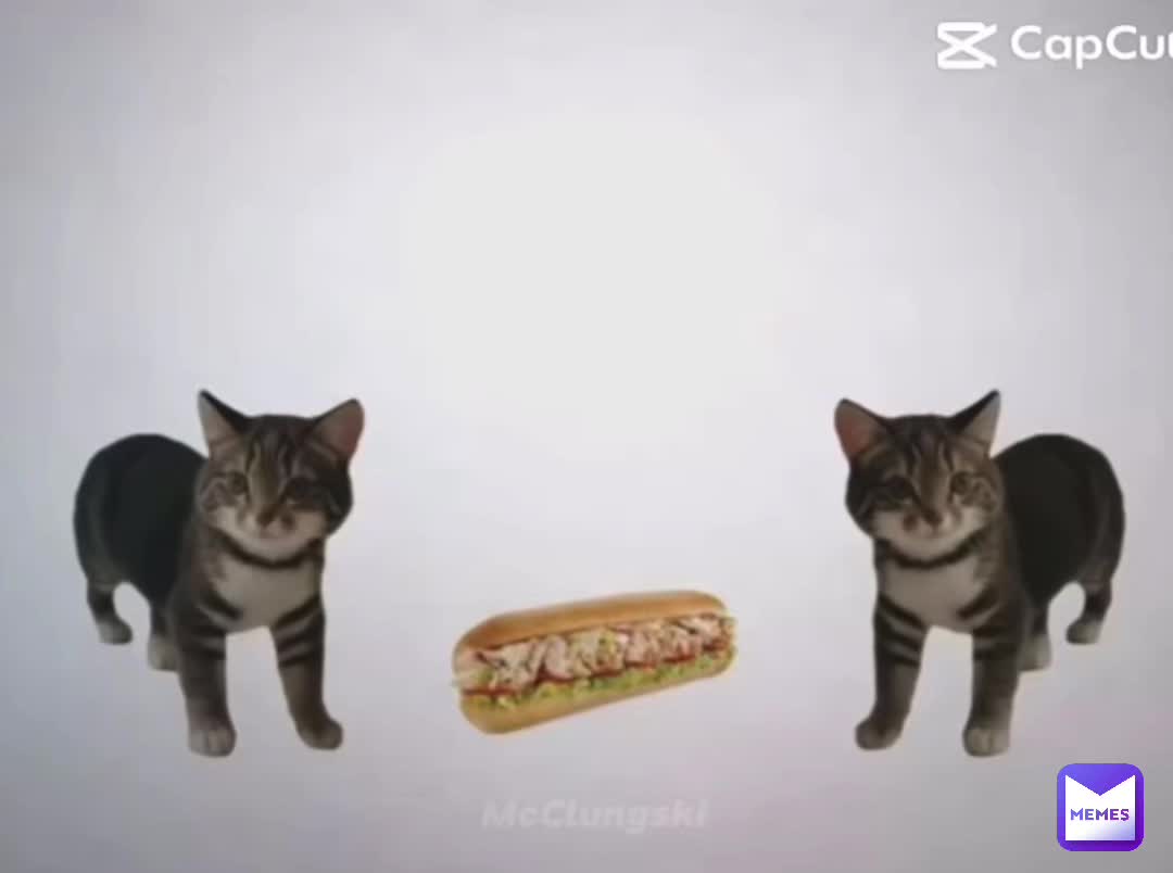 Meme preview