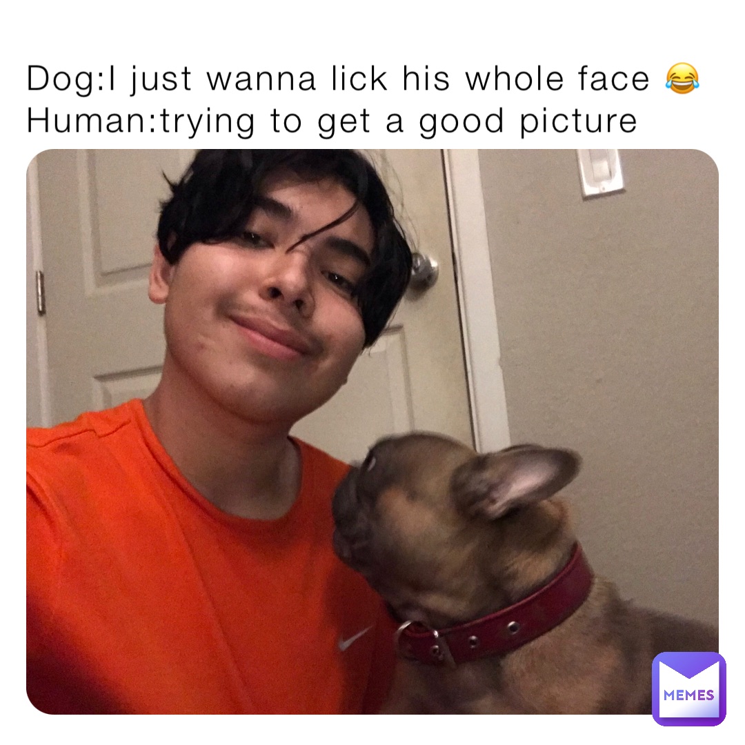 Dog:I just wanna lick his whole face 😂
Human:trying to get a good picture