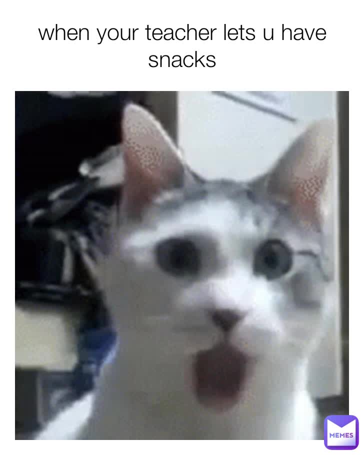 #pogcat #cat