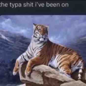 Meme shared by @The_ShitpostDealer