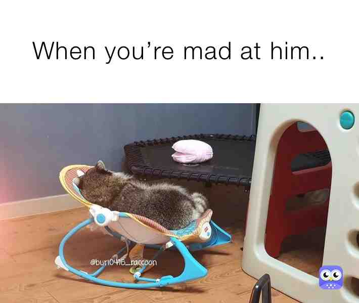 Meme shared by @lamapachekrash