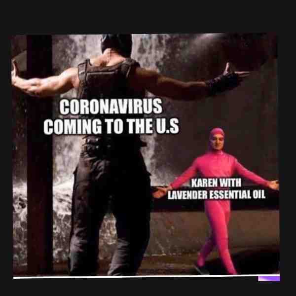 Great meme LETS GO KARENS #coronavirus #karens
