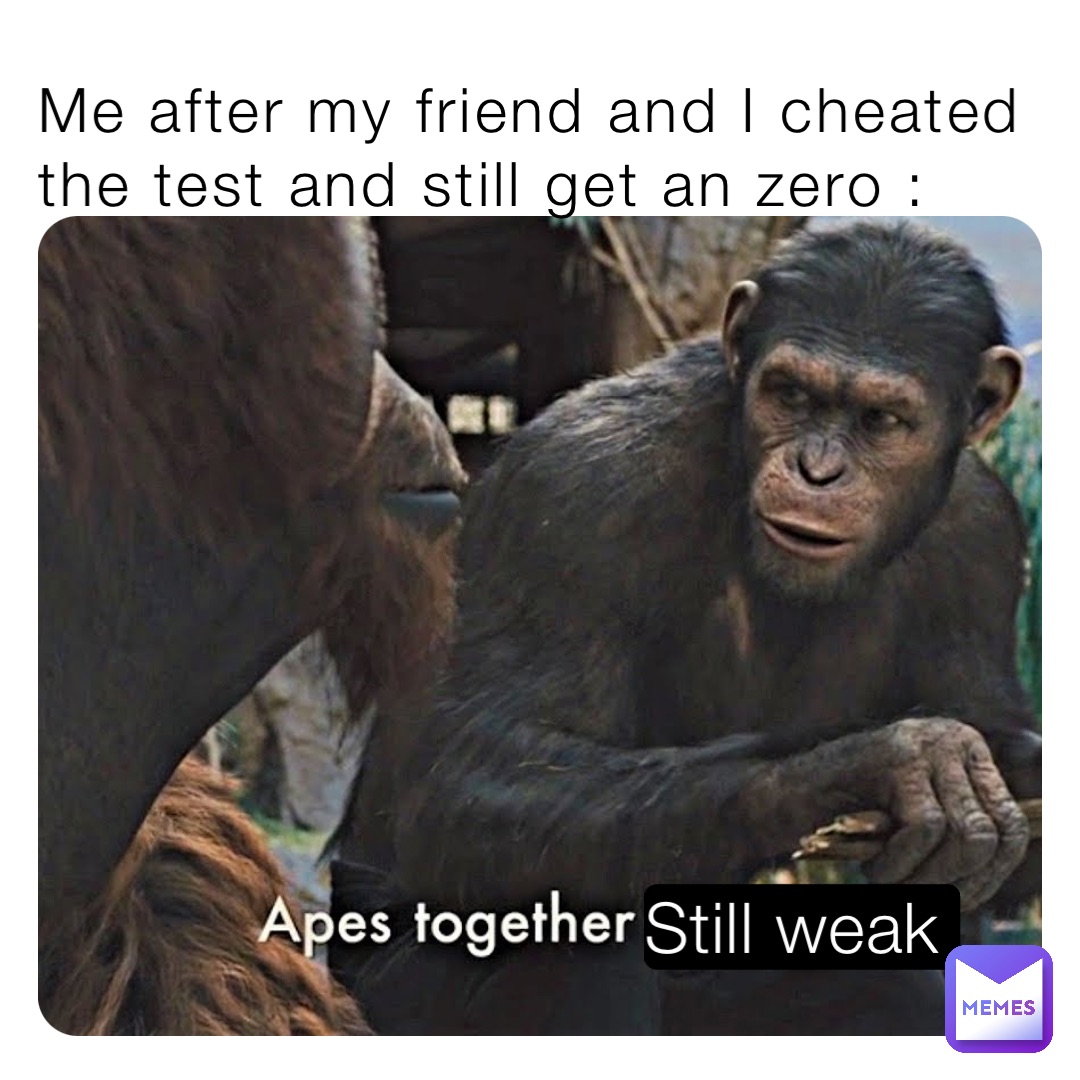 Me after my friend and I cheated the test and still get an zero : Still weak