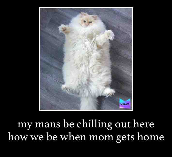 we’re all mommas boys at heart  #joe mama