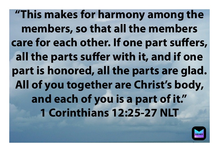 “This makes for harmony among the members, so that all the members care for each other. If one part suffers, all the parts suffer with it, and if one part is honored, all the parts are glad. All of you together are Christ’s body, and each of you is a part of it.”
‭‭1 Corinthians‬ ‭12:25-27‬ ‭NLT‬‬