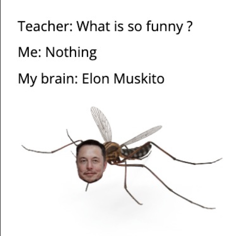 Meme by Arnold_Memesenager