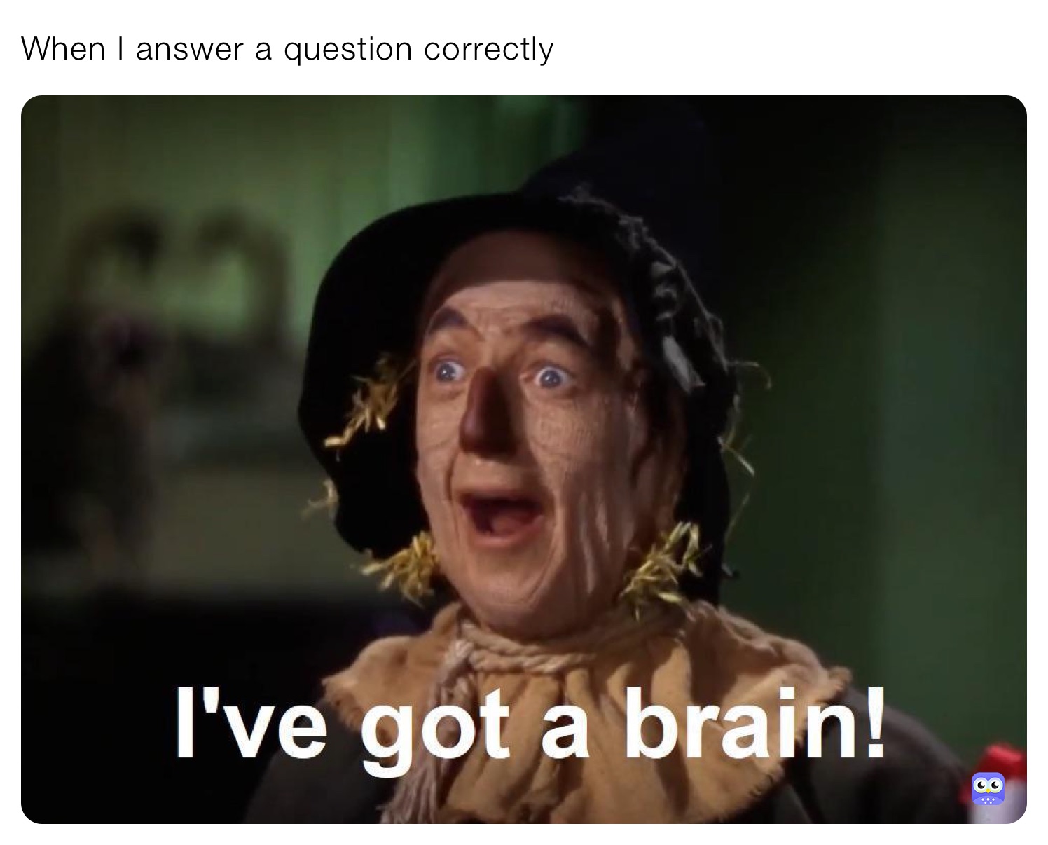 When I Answer A Question Correctly ShadowCrystal Memes