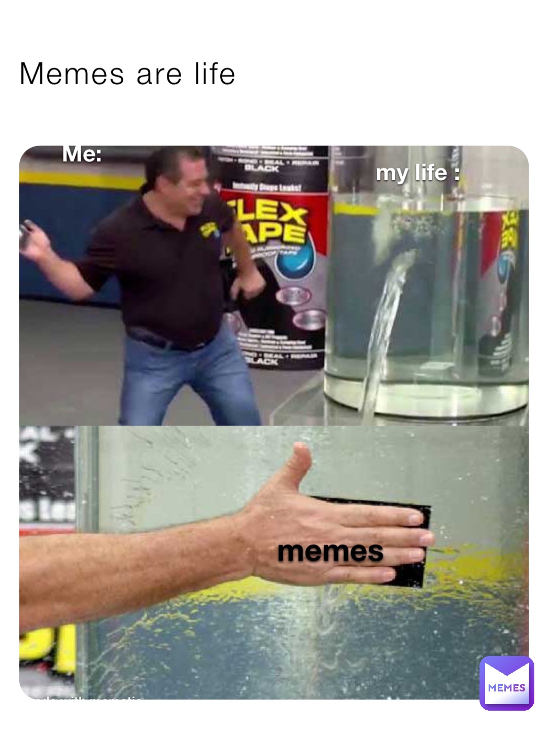 Memes are life