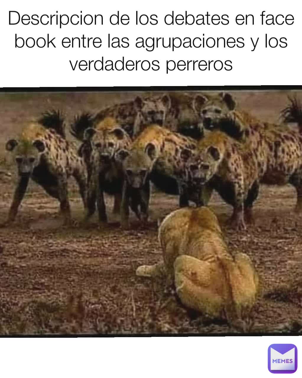 Descripcion de los debates en face book entre las agrupaciones y los verdaderos perreros