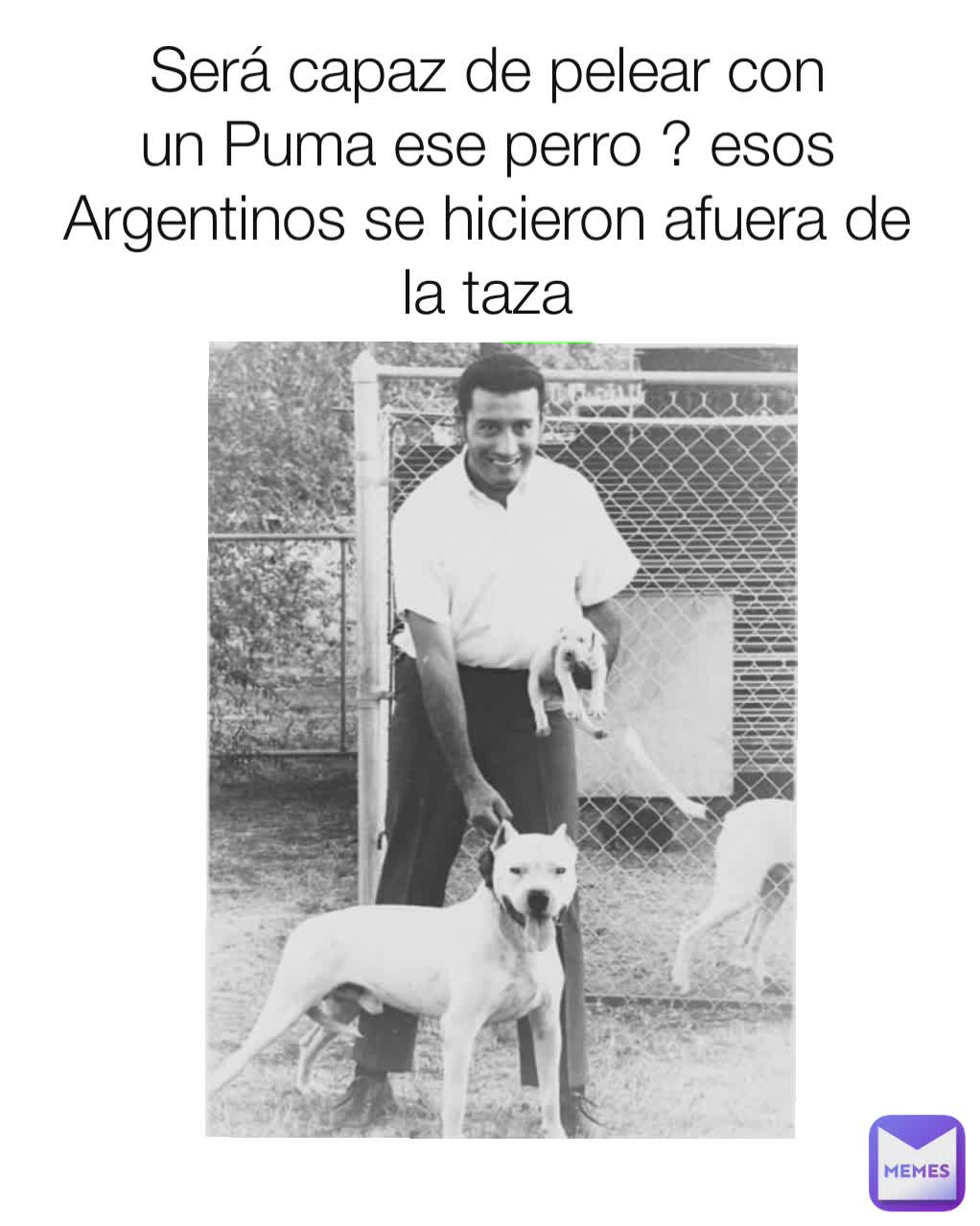 Será capaz de pelear con un Puma ese perro ? esos Argentinos se hicieron afuera de la taza