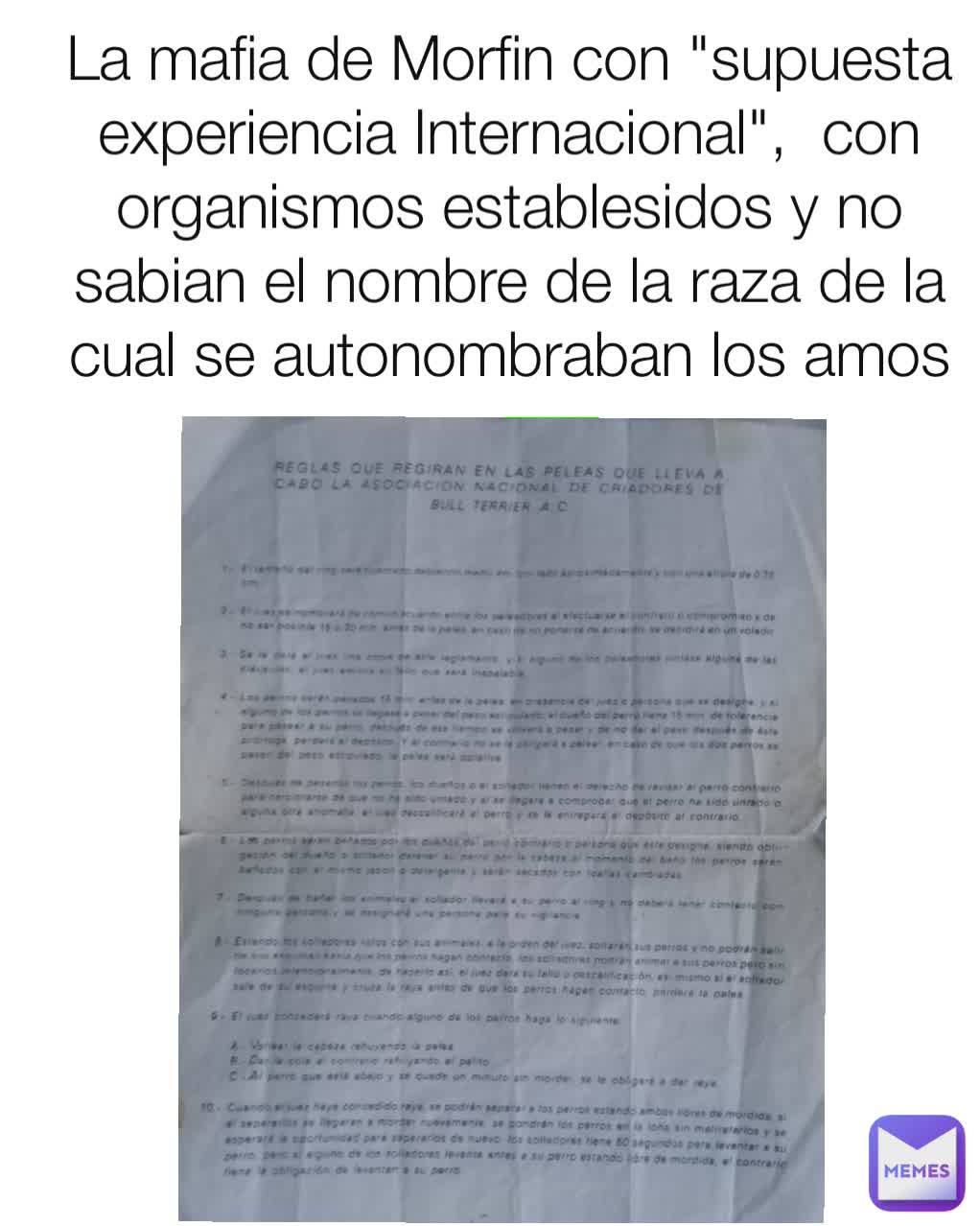 La mafia de Morfin con "supuesta experiencia Internacional",  con organismos establesidos y no sabian el nombre de la raza de la cual se autonombraban los amos