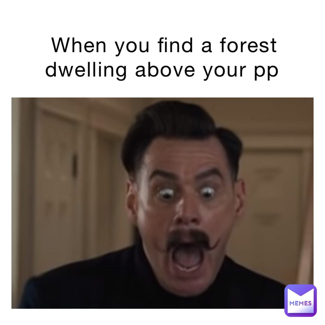 When you find a forest dwelling above your pp