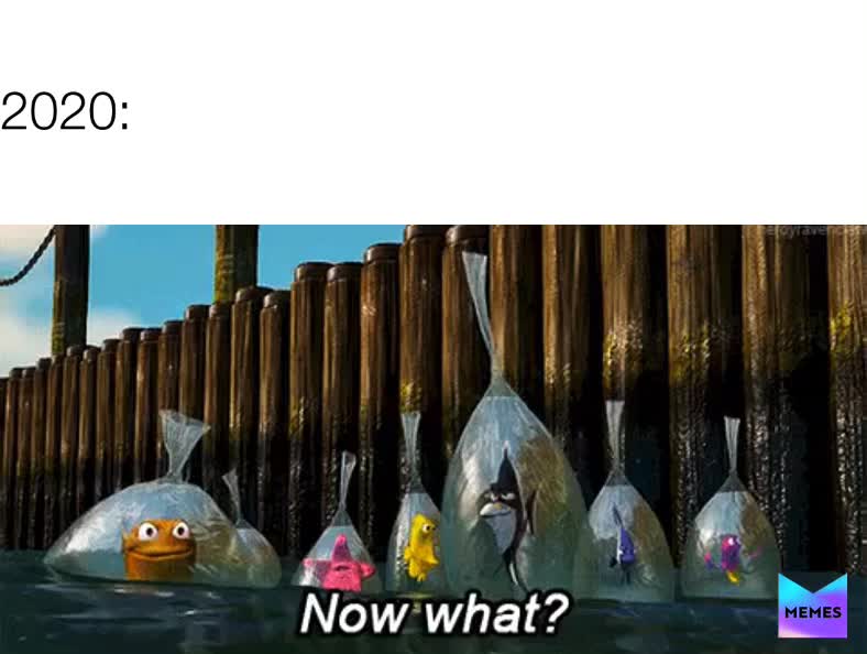 stay safe \ud83e\udda0 
 #coronavirus  #covid19  #hantavirus  #findingnemo  #2020memes  #lockdown  #quarantine  #coronamemes  #stayhome #staysafe #covid #coronapocalypse