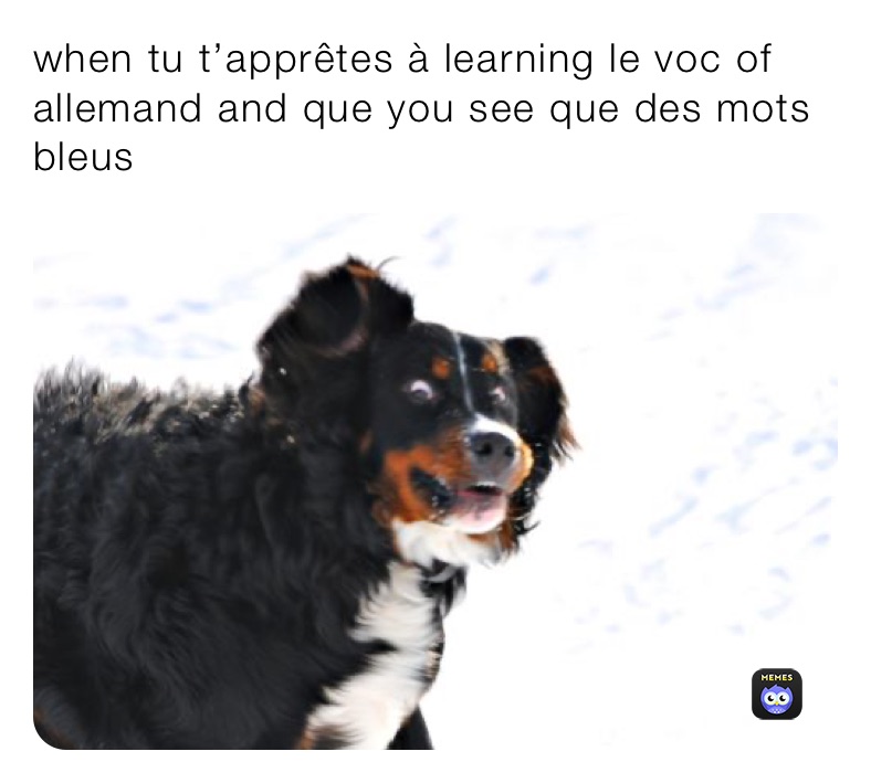 when tu t’apprêtes à learning le voc of allemand and que you see que des mots bleus 