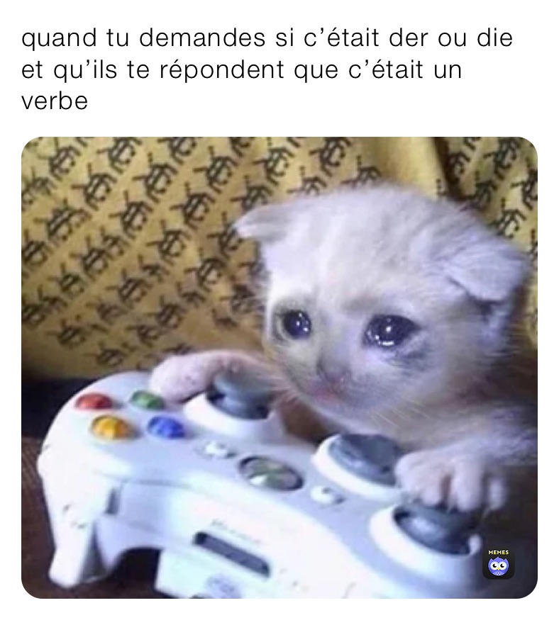 quand tu demandes si c’était der ou die et qu’ils te répondent que c’était un verbe 