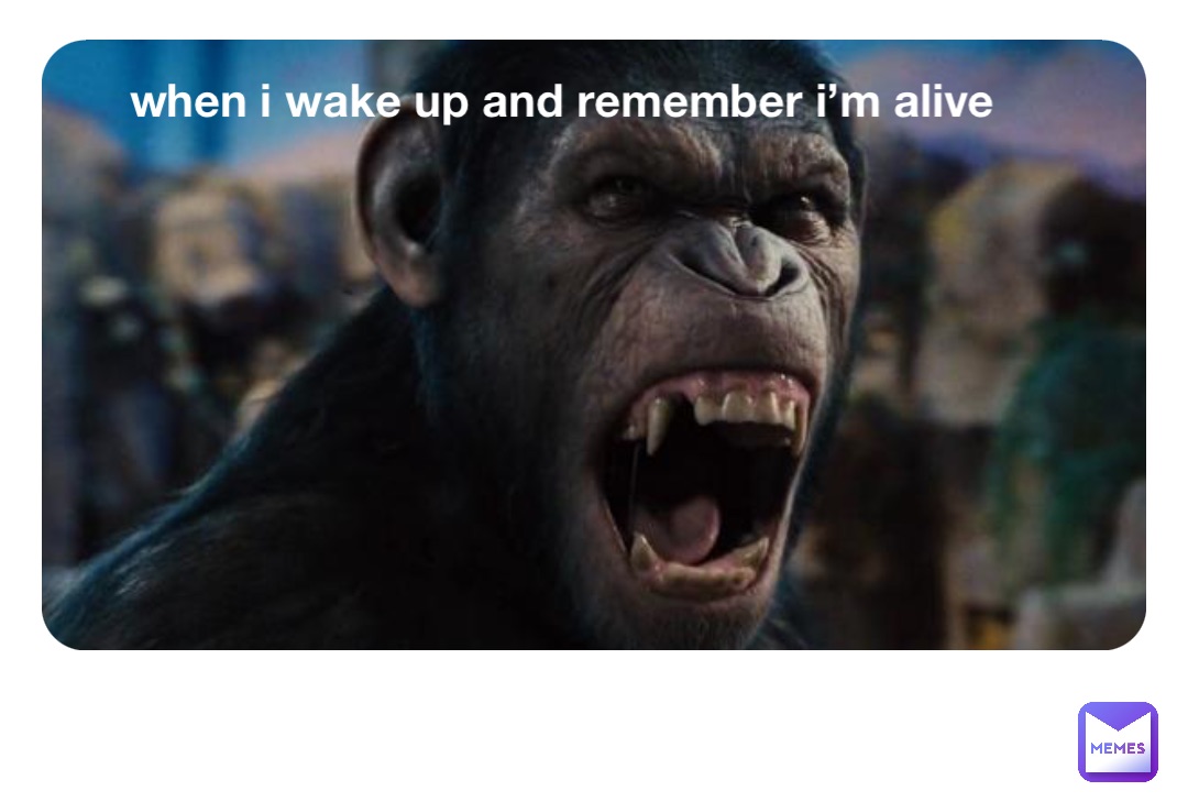 when i wake up and remember i’m alive