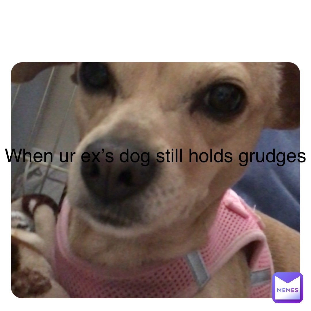 Double tap to edit When ur ex’s dog still holds grudges