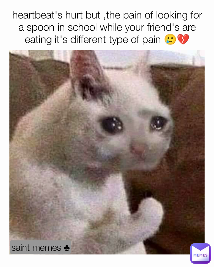 saint memes ♣ heartbeat's hurt but ,the pain of looking for a spoon in school while your friend's are eating it's different type of pain 🥲💔