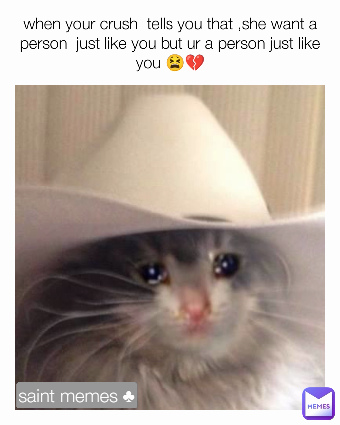when your crush  tells you that ,she want a person  just like you but ur a person just like you 😫💔 saint memes ♣